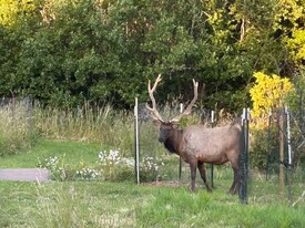4595 Fieldbrook Rd in Mckinleyville, CA - Building Photo