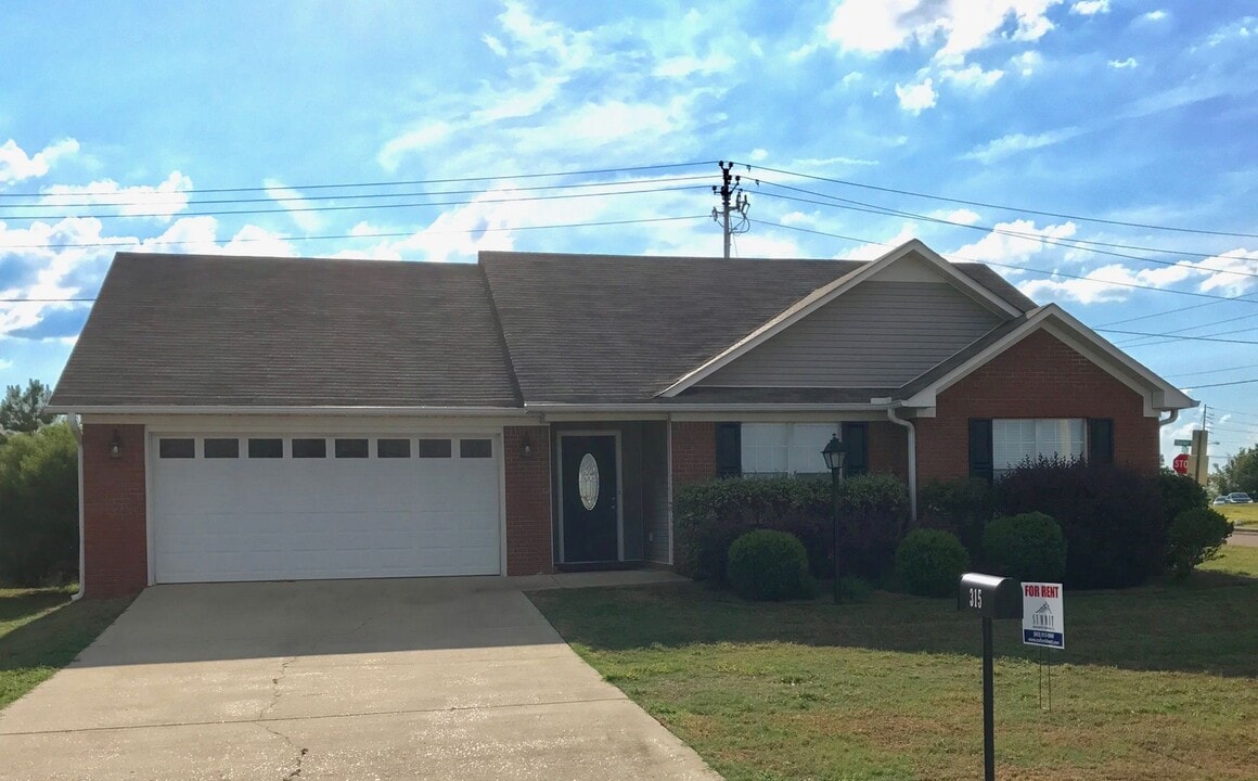 315 Eagle Pointe Dr in Oxford, MS - Foto de edificio