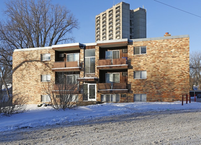 981 St Albans St N in St. Paul, MN - Building Photo - Building Photo