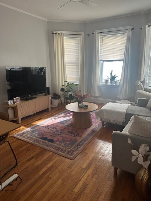 317 Allston St, Unit 4 in Boston, MA - Foto de edificio