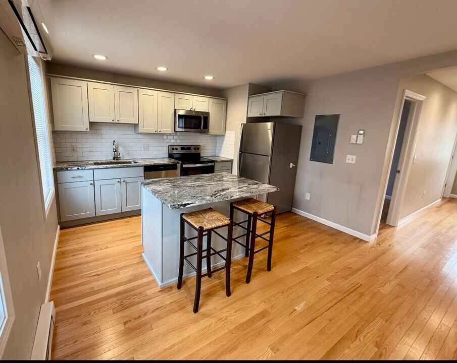 209 S Meadow St in Ithaca, NY - Building Photo