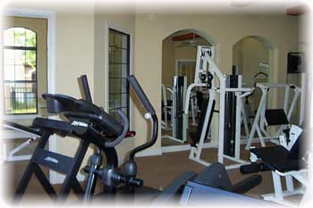 2279 Portofino Pl in Palm Harbor, FL - Building Photo - Building Photo