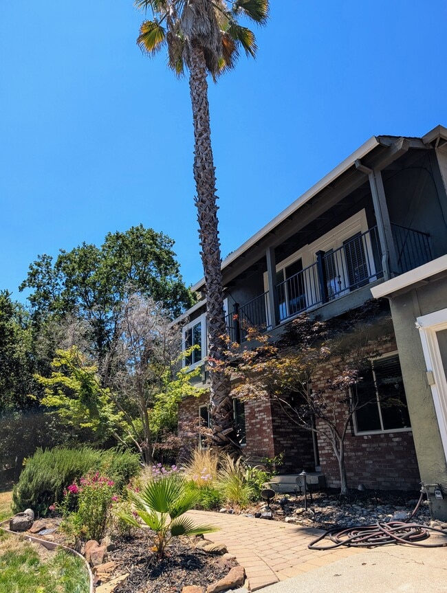 property at 310 Miranda Ln