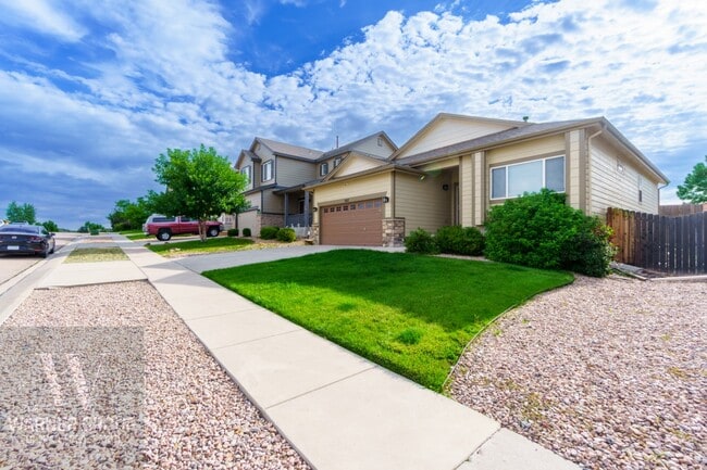 8117 Kettle Drum St in Colorado Springs, CO - Building Photo - Building Photo
