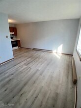 31 1/2 Elm St in Struthers, OH - Building Photo - Building Photo