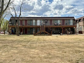 804 Stone Mountain Dr in Windsor, CO - Building Photo