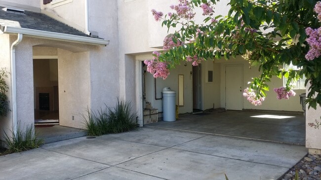 1505 Hermocilla Way in San Jose, CA - Building Photo - Building Photo