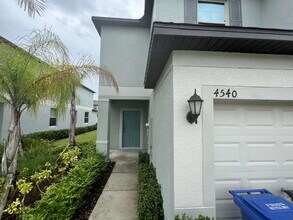 4540 Globe Thistle Dr in Tampa, FL - Building Photo - Building Photo
