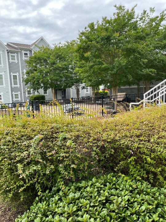 14 Thomas Combs Dr in Charlotte, NC - Building Photo