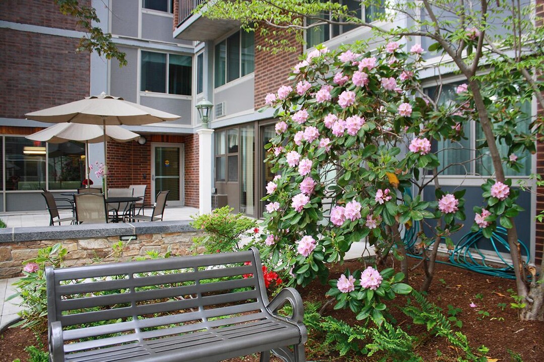 Cambridge Court Apartments 55+ Community in Cambridge, MA - Building Photo