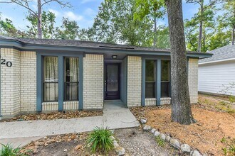 20 Tulip Hill Ct in Spring, TX - Building Photo - Building Photo