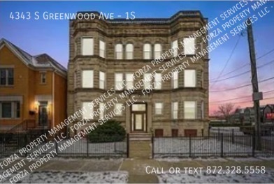 4343 S Greenwood Ave-Unit -1S in Chicago, IL - Building Photo