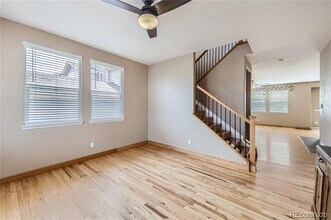 5960 Jaguar Way in Lone Tree, CO - Building Photo - Building Photo