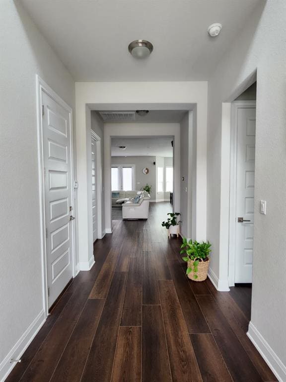 4500 Brandon Ct in Round Rock, TX - Building Photo - Building Photo