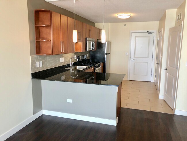 733 N Wells St in Chicago, IL - Foto de edificio - Building Photo