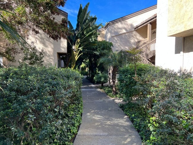 3162 Via Alicante in San Diego, CA - Building Photo - Building Photo