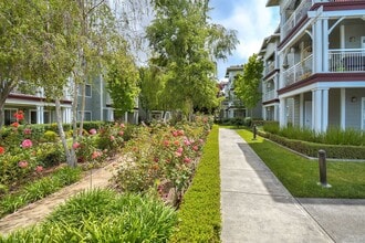 Oak View of Sonoma Hills Apartments in Rohnert Park, CA - Foto de edificio - Building Photo