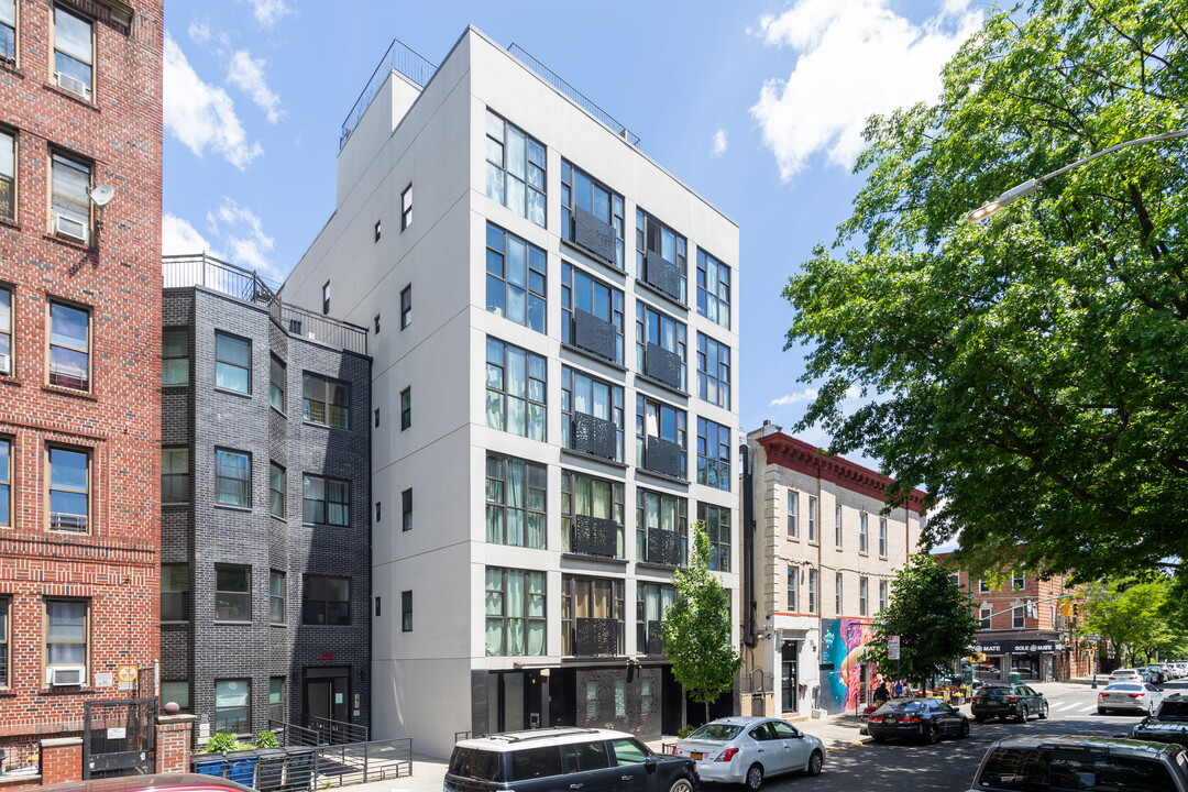 293 Hawthorne St in Brooklyn, NY - Building Photo