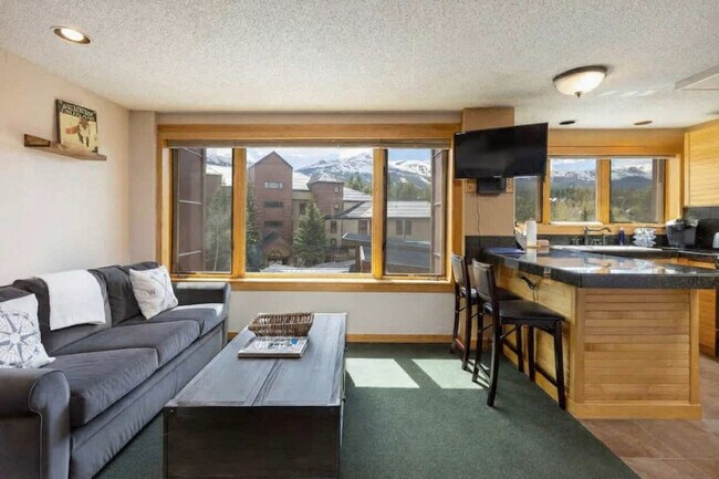 535 South Park Avenue in Breckenridge, CO - Building Photo - Building Photo