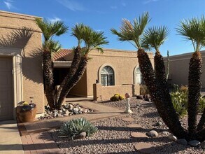 2502 Leisure World in Mesa, AZ - Building Photo - Building Photo