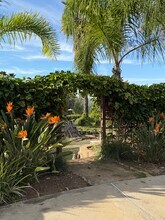 28320 Serenity Path in Valley Center, CA - Building Photo - Building Photo