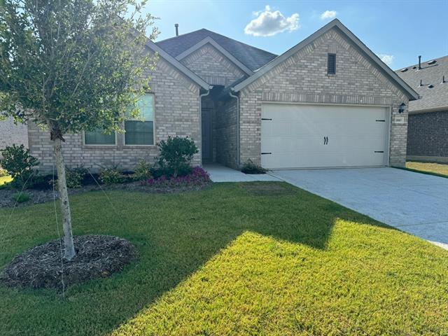 10005 Blue Forest Ln in Providence Village, TX - Building Photo