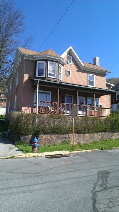 176 Jackson St in Johnstown, PA - Building Photo