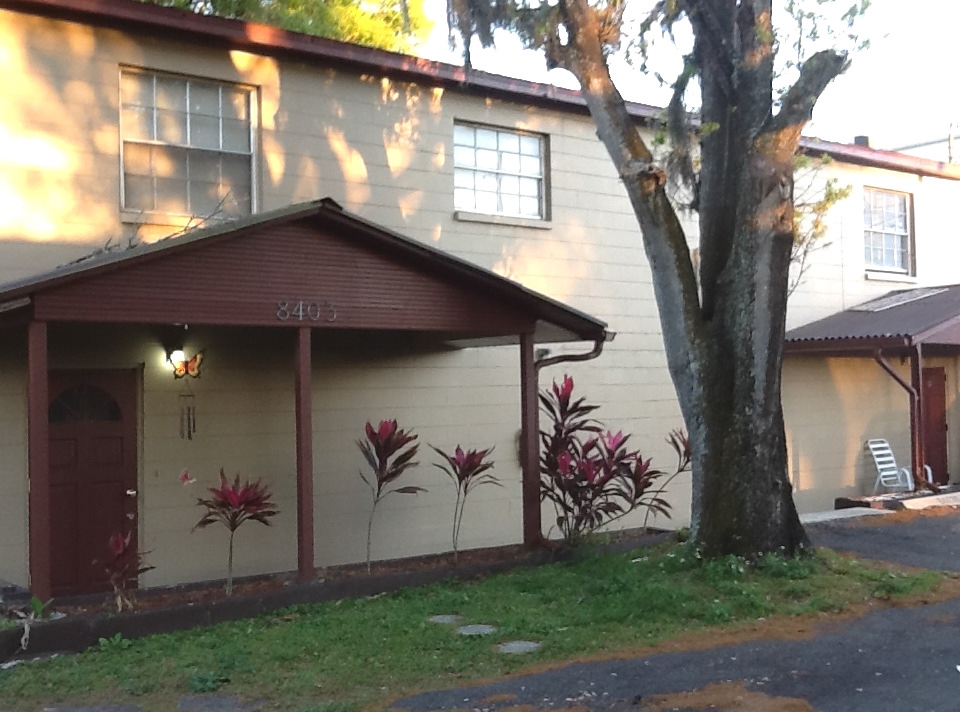 8401-8421 N Lois Ave in Tampa, FL - Building Photo