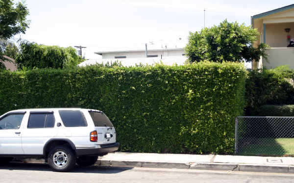 1947 Chariton St in Los Angeles, CA - Building Photo