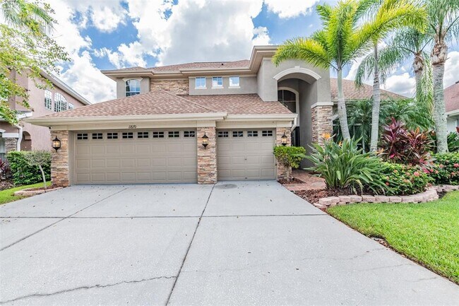 11670 Renaissance View Ct in Tampa, FL - Building Photo - Building Photo