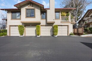38860 Cherry Glen Common in Fremont, CA - Building Photo