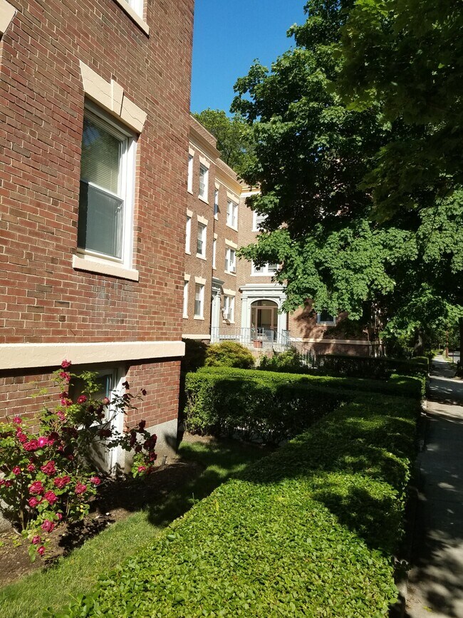 51 Manchester Rd, Unit 3 in Brookline, MA - Building Photo - Building Photo