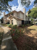 47 Emerald Bay Dr in Oldsmar, FL - Building Photo
