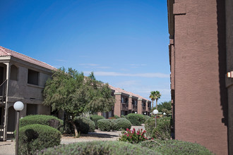 Palm Terrace Apartments in Chandler, AZ - Building Photo - Building Photo