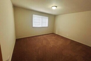 245 E Main St in Lake Zurich, IL - Building Photo