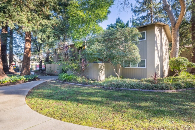 Park Vista Apartments