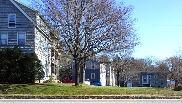 Allen Ave Apartments in Portland, ME - Building Photo - Building Photo