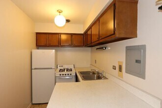 663 W Wrightwood in Chicago, IL - Building Photo - Building Photo