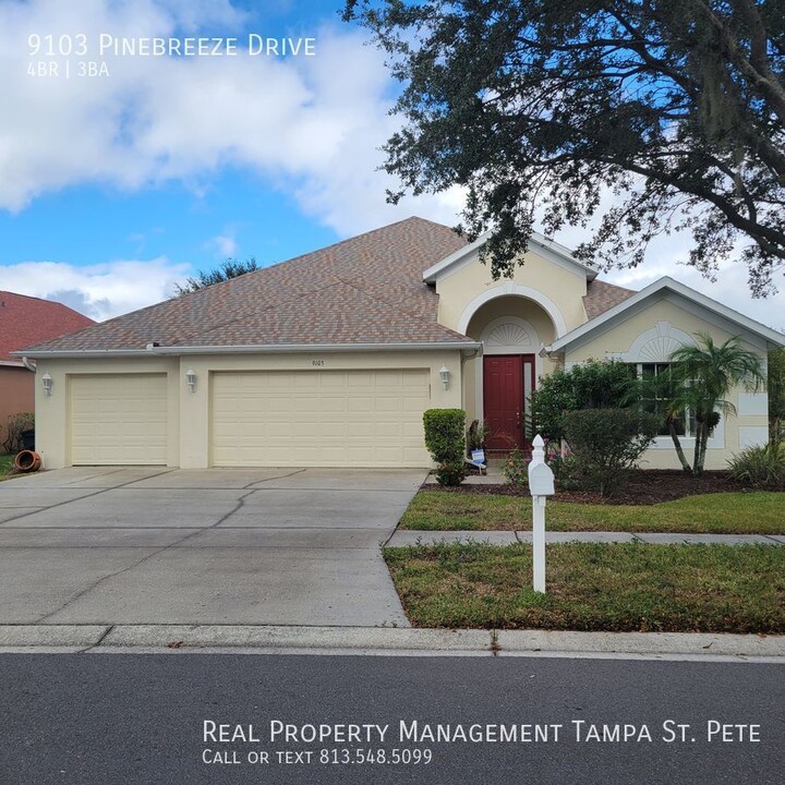 9103 Pinebreeze Dr in Riverview, FL - Building Photo