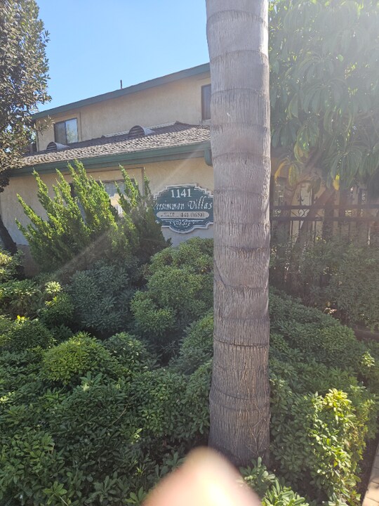 1141 Persimmon Ave in El Cajon, CA - Building Photo
