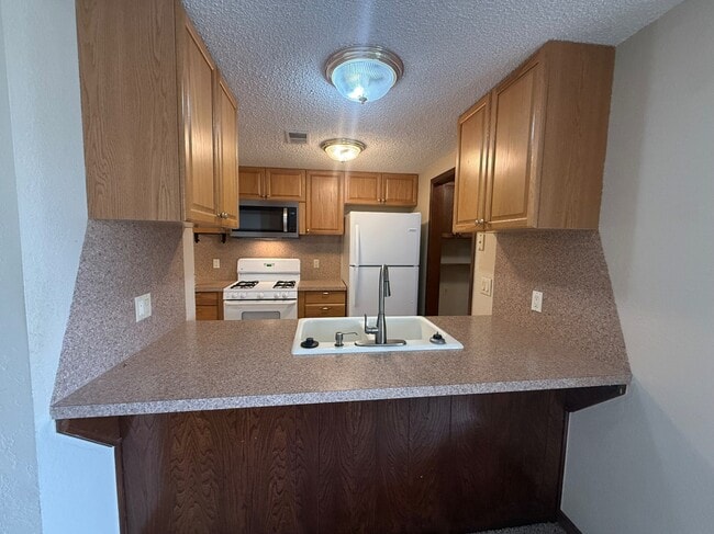 1015 Swan Lake Ct in Edmond, OK - Building Photo - Building Photo