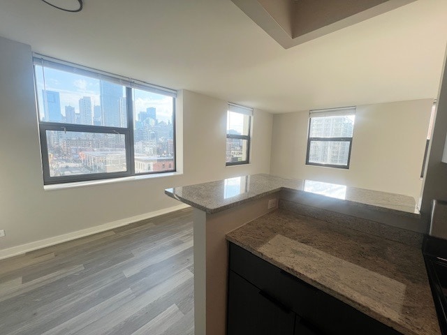 70 W Huron St, Unit 902 in Chicago, IL - Building Photo - Building Photo