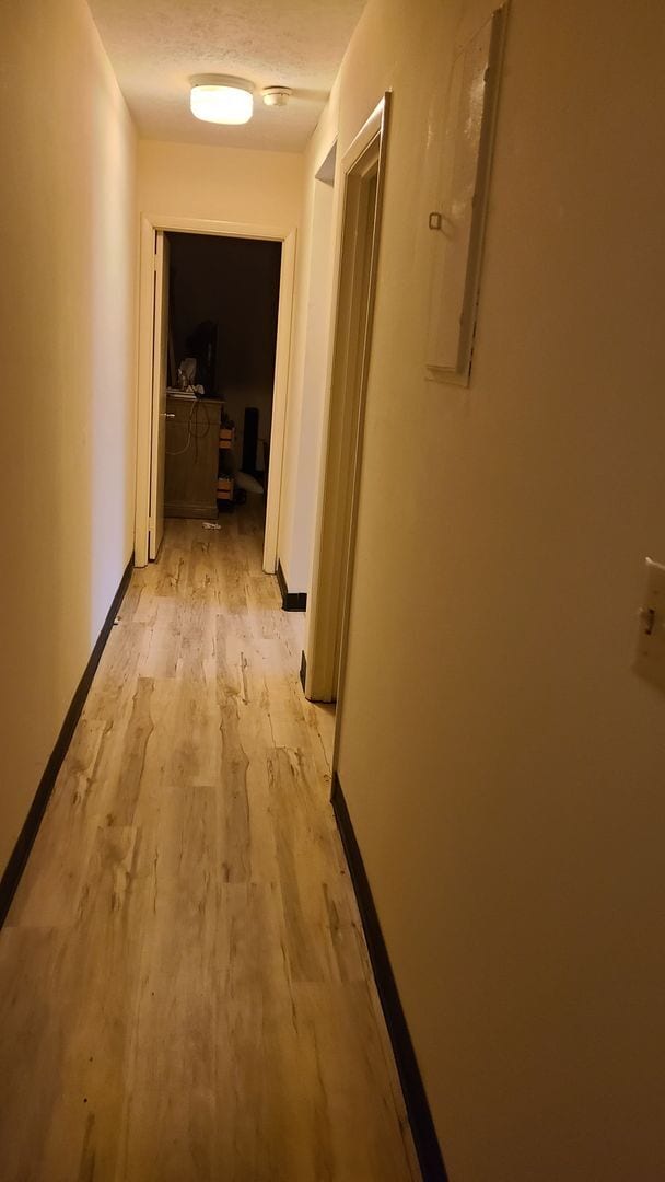 164-162-164 Burton St in Auburn, AL - Building Photo - Building Photo