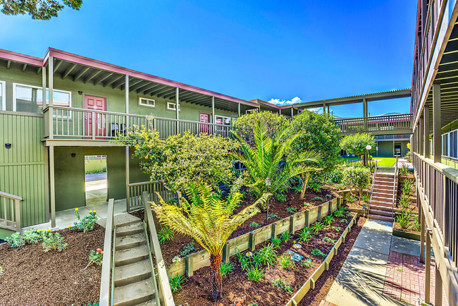 Pacific Pines in Monterey, CA - Foto de edificio - Building Photo