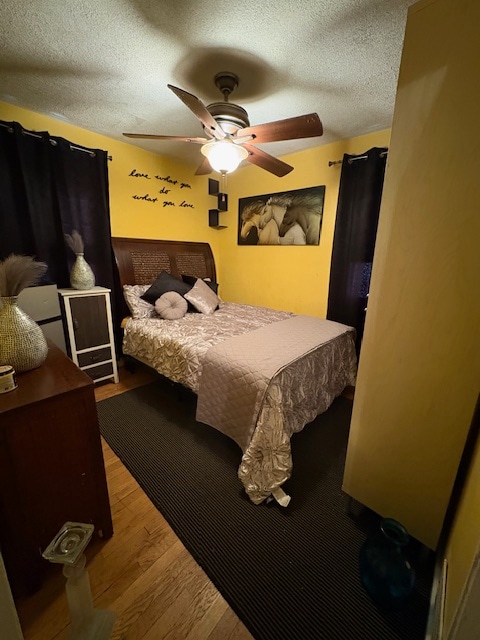 property at 209 N 15th St