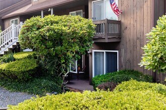 24 Ships View Terrace in Bourne, MA - Building Photo - Building Photo