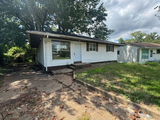 236 Mc Alpine Dr in St. Louis, MO - Building Photo - Building Photo