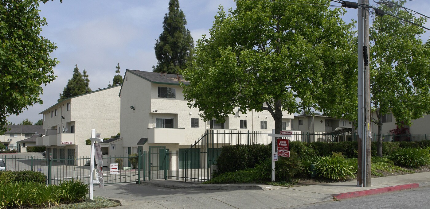 Park Terrace Town Homes in Hayward, CA - Foto de edificio
