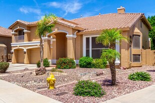 13324 W Annika Dr in Litchfield Park, AZ - Building Photo