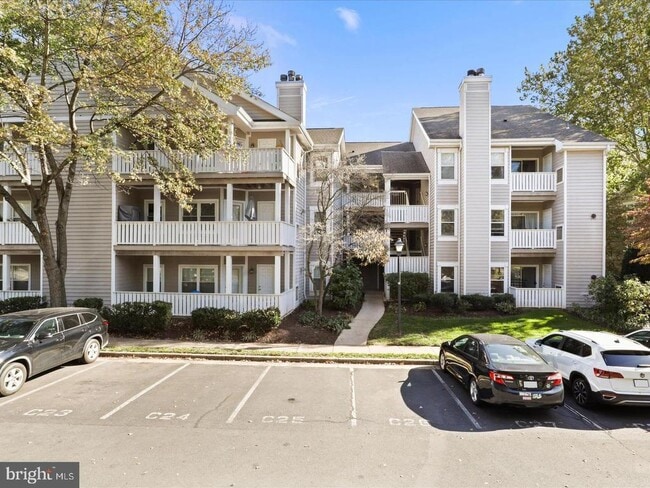 property at 14317 Climbing Rose Way